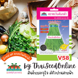 ADV ซฟ เมล็ดพันธุ์ ถั่วฝักยาว สุขุมวิท ตราตะวันต้นกล้า V58