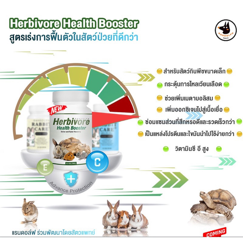 RANDOLPH Herbivore Health Booster (70g.) อาหารฟื้นฟูสัตว์ป่วย