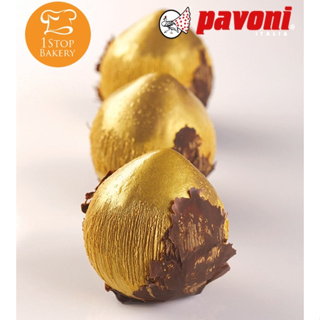 Pavoni AF008 Mould Noisette Cedric Grolet/พิมพ์ซิลิโคนเฮเซลนัท