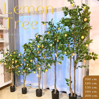 [100,180พร้อมส่ง/ไซส์อื่นพรี14วันค่ะ]🍋🍃LEMON TREE ต้นเลม่อนปลอม งานเหมือนจริง มินิมอลสุดๆ แต่งบ้านสวยมากค่ะ