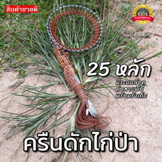 ครืนดักไก่ 25หลัก ครืนทางไก่ป่า บ่วงดักไก่ป่า ที่ดักไก่ป่า หลักยาว7นิ้ว บ่วง5นิ้ว หลักชุบเสตลเลส สีน้ำตาล สีดำ