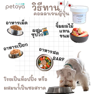 คอลลาเจนญี่ปุ่นบำรุงขนและข้อสำหรับสุนัขแมว สูตรแพ้ง่าย แพ้ไก่ แพ้อาหารทะเลทานได้