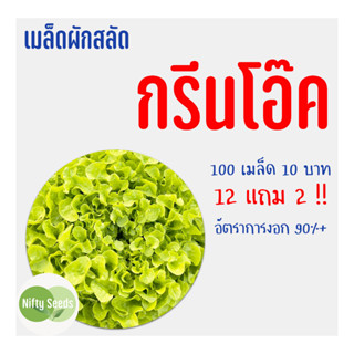 เมล็ดสลัด กรีนโอ๊ค 100 เมล็ด 10 บาท งอกดีมีคู่มือในการปลูก