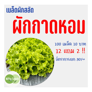 เมล็ดสลัด ผักกาดหอม 100 เมล็ด 10 บาท  งอกดีมีคู่มือในการปลูก