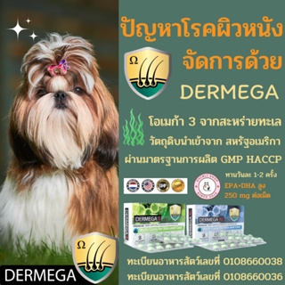 ส่งฟรี DERMEGAโอเมก้า3 สุนัข แมว จากสาหร่ายทะเล ใช้ประกอบการรักษา ผิวหนังอักเสบ ตกสะเก็ด ผื่นแพ้ บำรุงข้อ บำรุงหัวใจ