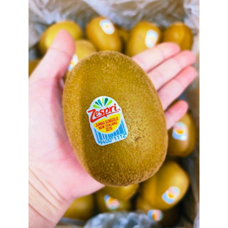 กีวี สีทอง Zespri New Zealand.# เบอร์ 27 ประมาณ 40 ลูก/กล่อง เนื้อสีเหลือง ส่งฟรี แบบแช่เย็น