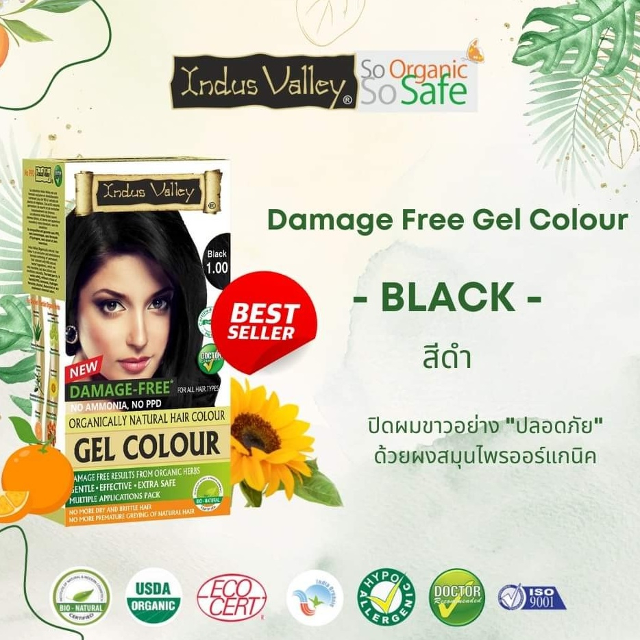 [ชุดใหญ่] สีดำธรรมชาติ 1.0 (NO HYDROGEN PEROXIDE,NO AMMONIA,NO PPD,NO PARABEN) ปิดหงอก มีเลขจดแจ้ง