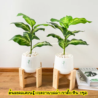 (🔥ส่งด่วน) 1แถม1 ต้นไม้ปลอม ความสูง 40-50 cm. แต่งบ้านพร้อมกระถางใครไม่มีเวลาดูแล ต้องโดนตกนะจ๊ะ ฟรีหินโรย!!