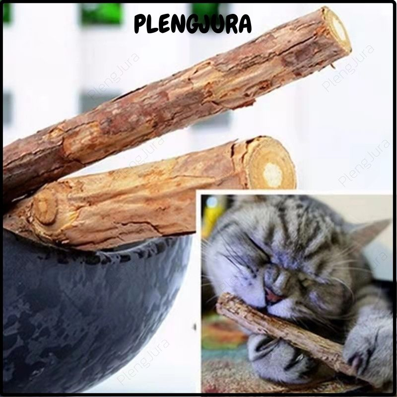 ก้านมาทาทาบิไม้แมวเมา แบบแท่ง มาทาทาบิ ขัดฟันมาทาบิ สำหรับแมว แคทนิปญี่ปุ่น ไม้แมวเมา ไม้ขัดฟัน ก้านมาทาทาบิ ไม้แปรงฟัน - รูปที่ 4