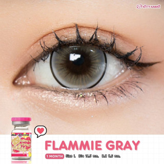 คอนแทคเลนส์ Kitty kawaii รุ่น Flammie Gray (สีเทา)