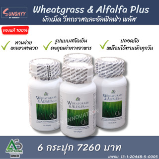 (6 กระปุก) Wheatgrass &amp; Alfala Plus ผลิตภัณฑ์เสริมอาหาร ผักเม็ด อัลฟัลฟ่า สูตรดั้งเดิม แอมสตรอง ดีทอกซ์ ล้างสารพิษ