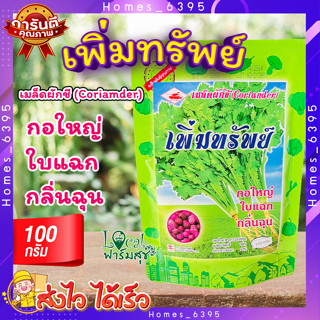 เพิ่มทรัพย์ เมล็ดผักชี 100กรัม 🍃ตรารถถัง เมล็ดพันผักชี ผักชี กอใหญ่ ใบแฉก กลิ่นฉุน อัตราการงอกสูง ต้นใหญ่ ใบหนา ต้นโตเร็