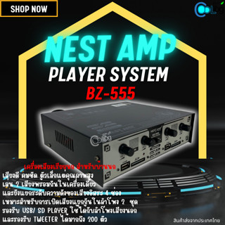 NEST AMP เครื่องขยายเสียง เครื่องเสียงเรียกนก ตัวเล็กแต่คุณภาพสูง เล่น2เสียงพร้อมกันในเครื่องเดียวและรองรับ Tweeter