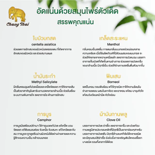 ยาหม่องเขียว ผสมเถาเอ็นอ่อน ตราช้างไทย