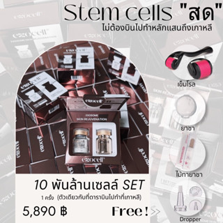 [M+tool+6880]แท้🇰🇷Exocell Exosome Skin ชุดทำเองที่บ้าน 10พันล้านเซลล์ เอ็กโซโซมสด สเต็มเซลล์ stemcellสด ผิวกระจก รูขุมขน