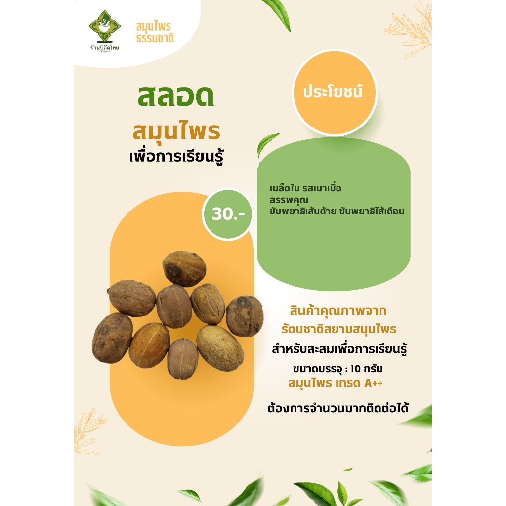 เมล็ดสลอด สมุนไพรเพื่อการเรียนรู้ ขนาดบรรจุ 10 กรัม ราคา 30 บาท สมุนไพรสำหรับไว้เรียนรู้
