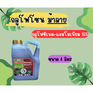 กลูโฟซิเนต แอมโมเนียม  ตรา ม้าลาย 4 ลิตร  กำจัดหญ้าใบแคบและใบกว้าง หญ้าทุกชนิด แทนเผาไหม้