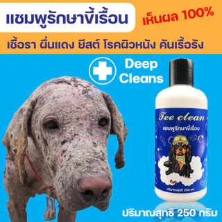 แชมพูTee Clean250ml.ขี้เรื้อน คุ้มค่า สำหรับสุนัขที่เป็นขี้เรื้อน อาบสะอาด