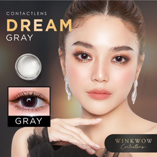 Wink Wow Blister 🖤รุ่น Dream Gray คอนแทคเลนส์ Hydrogel60%(ค่าอมน้ำเยอะที่สุด) เลนส์นิ่ม ถนอมสายตา