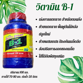 B-1 น้ำยาเร่งราก เร่งราก ฟื้นฟูพืชหลังลงปลูก สำหรับพืชทุกชนิด ขนาด 100 cc.