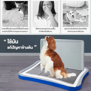 Petcho ถาดรองฉี่สุนัข 2 ชั้น เสาให้น้องเล็ง ห้องน้ำสุนัข Dog Toilet Tray