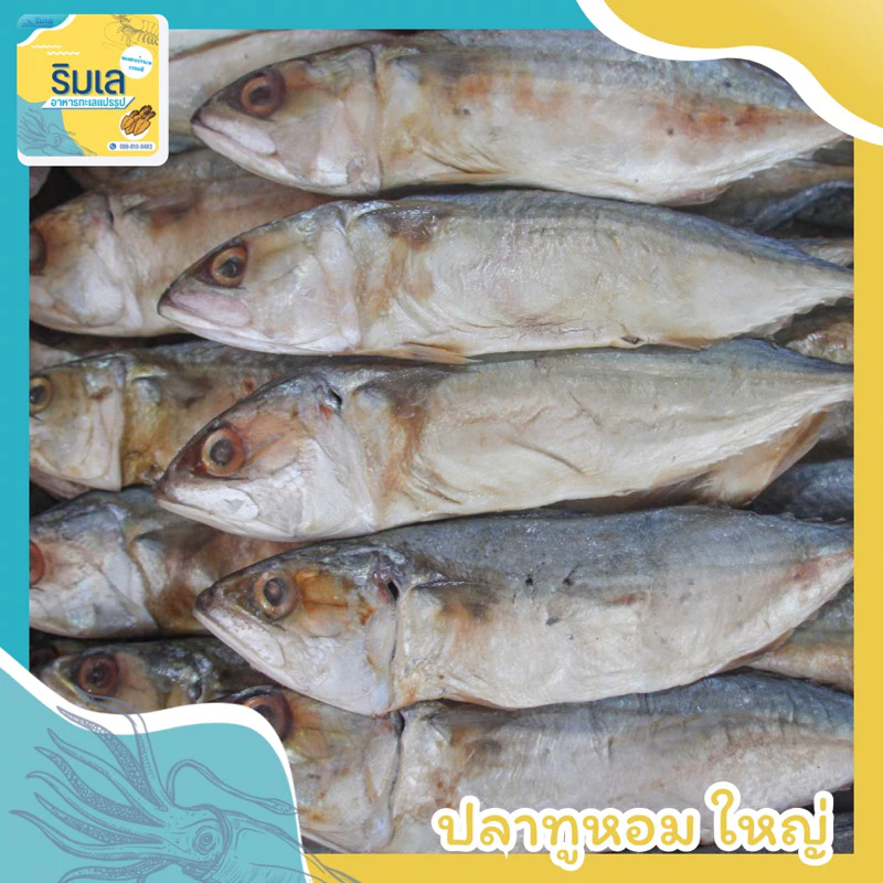 🐟 ปลาทูหอม 🐠 ตัวใหญ่ทานอร่อย ของฝากบ้านเพระยอง