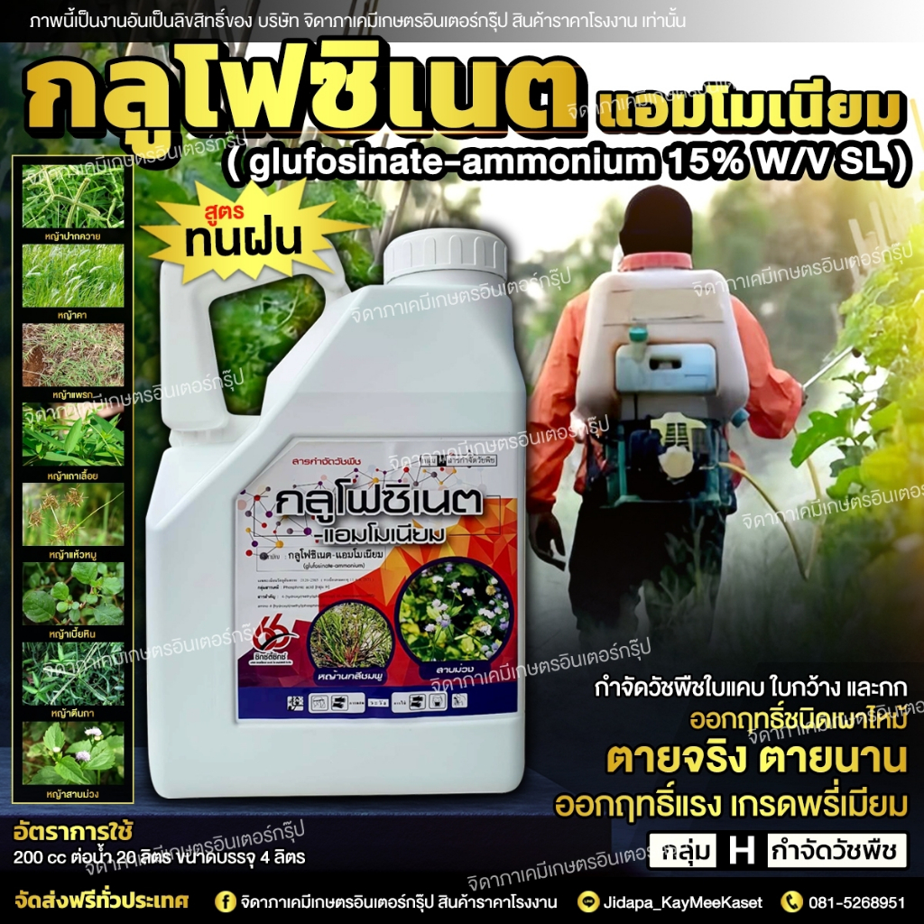 กลูโฟซิเนต แอมโมเนียม 15% W/V SL (ขนาด4 ลิตร) ยาฆ่าหญ้าชนิดเผาไหม้ กำจัดวัชพืชปราบยาก
