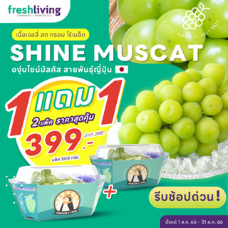 องุ่นไชน์มัสคัส Shine Muscat Grape 500g. ซื้อ 1 แถม 1 สุดคุ้ม องุ่น Freshliving