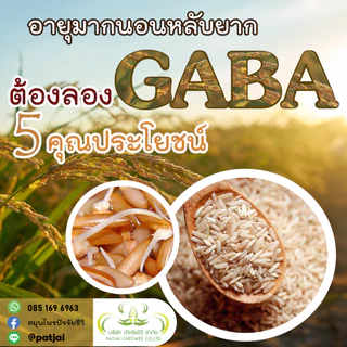 ปัจจัยชีวี ข้าวกล้องงอก GABA Rice 500กรัม, 1000กรัม(1kg) ตราซีซ่า (SESA)