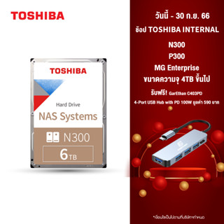 Toshiba NAS HDD (6TB)TSB INT 3.5"6TB (N300)NAS 24x7  7200RPM 256MB (RB) Internal Harddisk TSB-HDWG460AZSTA