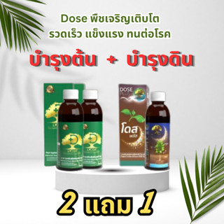 Dose โดส ฮอร์โมนพืช อาหารเสริมพืช เร่งผลผลิต +โดสพลัส ปรับสภาพดิน ตัวช่วยเพิ่มผลผลิตได้ไว 3-5 เท่า