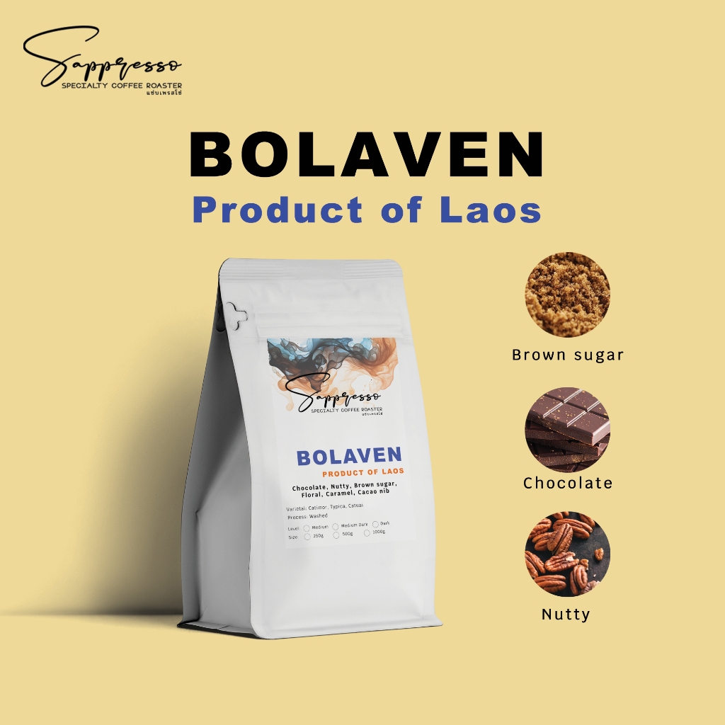 เมล็ดกาแฟคั่ว Laos - Bolaven, ลาวโบลาเวน Premium+ รูปที่ 3
