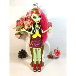 🌸🍃ตุ๊กตามอนสเตอร์ไฮ Monster high🌸🍃