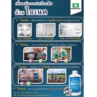 Inex-A ไอเนค คอสโมเซล ยาจับใบ ช่วยละลายสาร เพิ่มประสิทธิภาพ 1 ลิตร