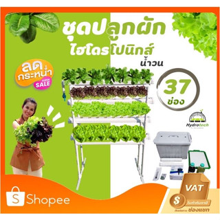 ชุดปลูกผักไฮโดรโปนิกส์ น้ำวนNFT แนวตั้ง37ช่อง ปลูกง่ายเหมาะสำหรับมือใหม่