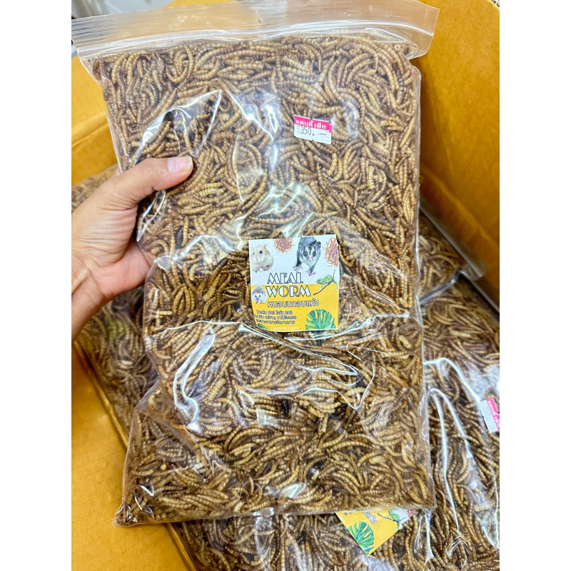 หนอนนกอบแห้ง 500 g. // 189 บาท สำหรับสัตว์ ถุงใหญ่