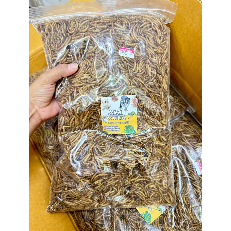 หนอนนกอบแห้ง 500 g. // 189 บาท สำหรับสัตว์ ถุงใหญ่ 🐛🐛🐛