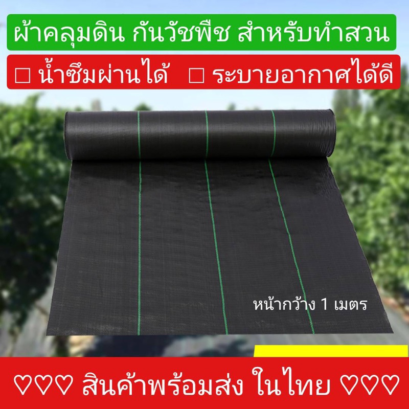 ผ้าคลุมดิน 10เมตร แบบไม่เจาะรู และ แบบเจาะรู ผ้าคลุมหญ้า ฆ่าหญ้า ฆ่าวัชพืช กำจัดหญ้า วัชพืช