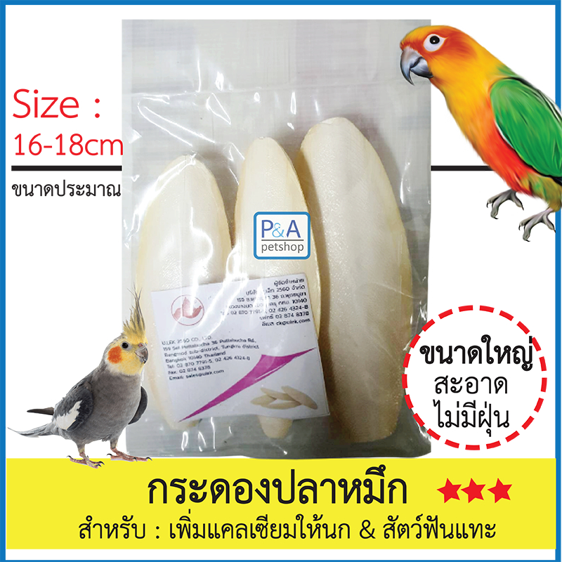 กระดองปลาหมึก ลิ้นทะเล_แคลเซียมสำหรับนก&สัตว์ฟันแทะ [ขนาดใหญ่ 3ชิ้น] .