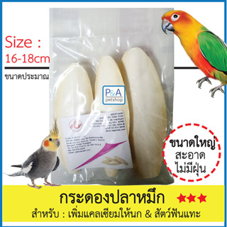 กระดองปลาหมึก ลิ้นทะเล_แคลเซียมสำหรับนก&amp;สัตว์ฟันแทะ [ขนาดใหญ่ 3ชิ้น] .