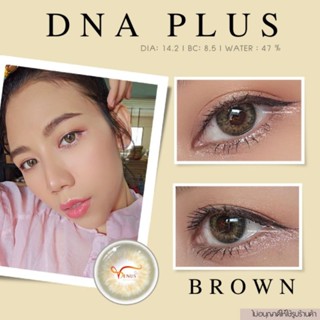 คอนแทคเลนส์ DNA PLUS Brown✨ ยี่ห้อ GAEZZ ; Color Brown( ค่าสายตา 50 - 700)