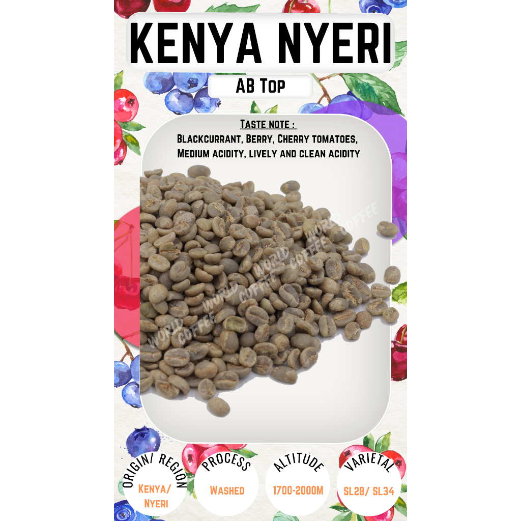 พร้อมส่ง เมล็ดกาแฟดิบ Kenya Nyeri AB Top Washed process/ เมล็ดกาแฟนอก/เมล็ดกาแฟสาร เคนย่า