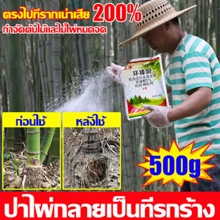 🍂3วันทำให้รากเน่าเสีย🍂 ยาฆ่าไผ่ 500g สารกําจัดกอไผ่ กำจัดต้นไม้และไผ่ให้หมดจด ยาฆ่ากอไผ่ ยาฆ่าไม้ไผ่ ยาฆ่าต้นไม้ใหญ่