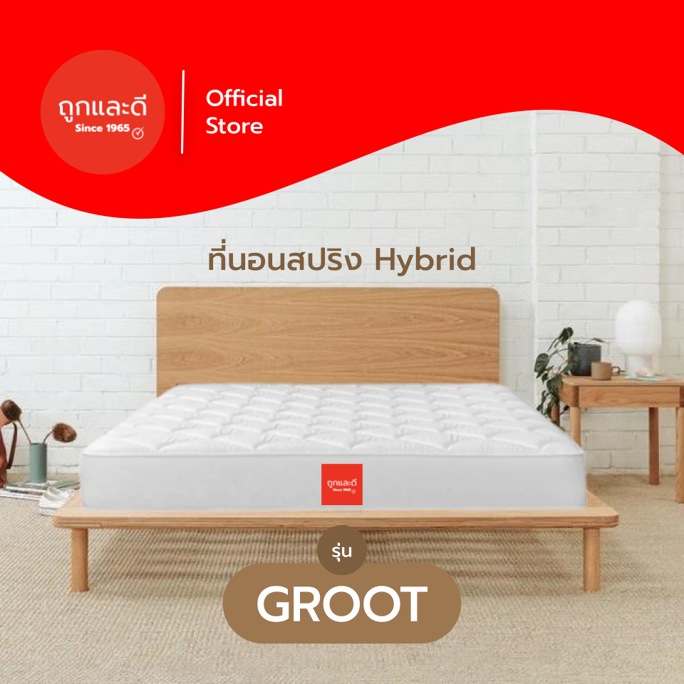 Took Lae Dee [ส่งฟรี] ที่นอนสปริง รุ่น Groot หนา 8 นิ้ว รองรับสรีระร่างกายได้ดี