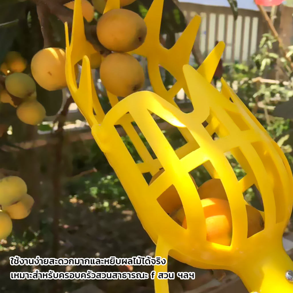 ตะกร้อเก็บผลไม้  เครื่องมือทำสวน   Fruit picking