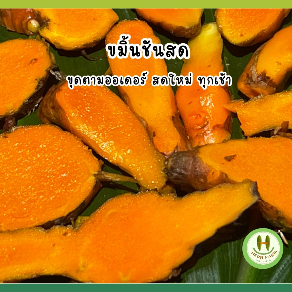 ขมิ้นชันอินทรีย์ เกษตรอินทรีน์สากล สดทุกวัน ขุดใหม่ทุกเช้า สอบผ่านเรื่องสารสำคัญ รับรองความแซบ