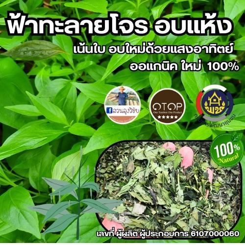 ฟ้าทะลายโจร ฟ้าทะลายโจรอบแห้ง หอม สะอาด ปลอดภัยจากเคมี เกรดดีที่สุด สินค้า OTOP อบด้วยพลังงานแสงอาทิตย์ใหม่ ขนาด150 กรัม