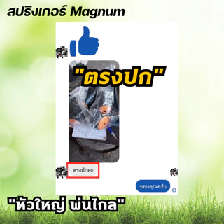 GROWAY สปริงเกอร์ Magnum หัวใหญ่ พ่นไกล มีขนาด 4 หุน กับ 6 หุน