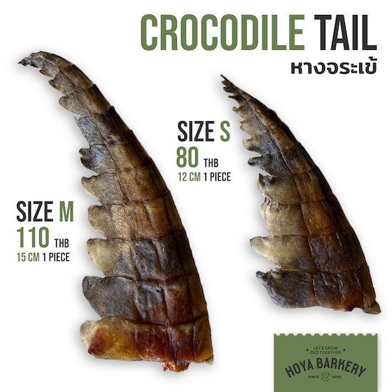 Hoya Barkery Crocodile Tail หางจระเข้อบแห้ง ขนมแทะขัดฟันสุนัข