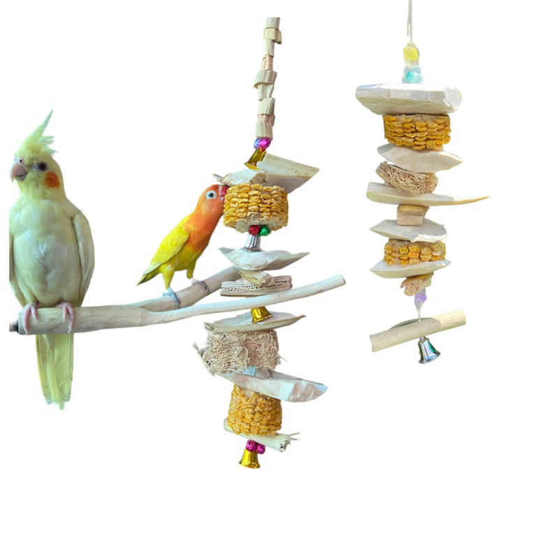 ของเล่นนก โมบายกระดองหมึก (cuttlebone hanging) โมบายสำหรับกัดแทะ  bird toys ลูกปัดสุ่มสี (ใช้โค้ดส่งฟรีได้)